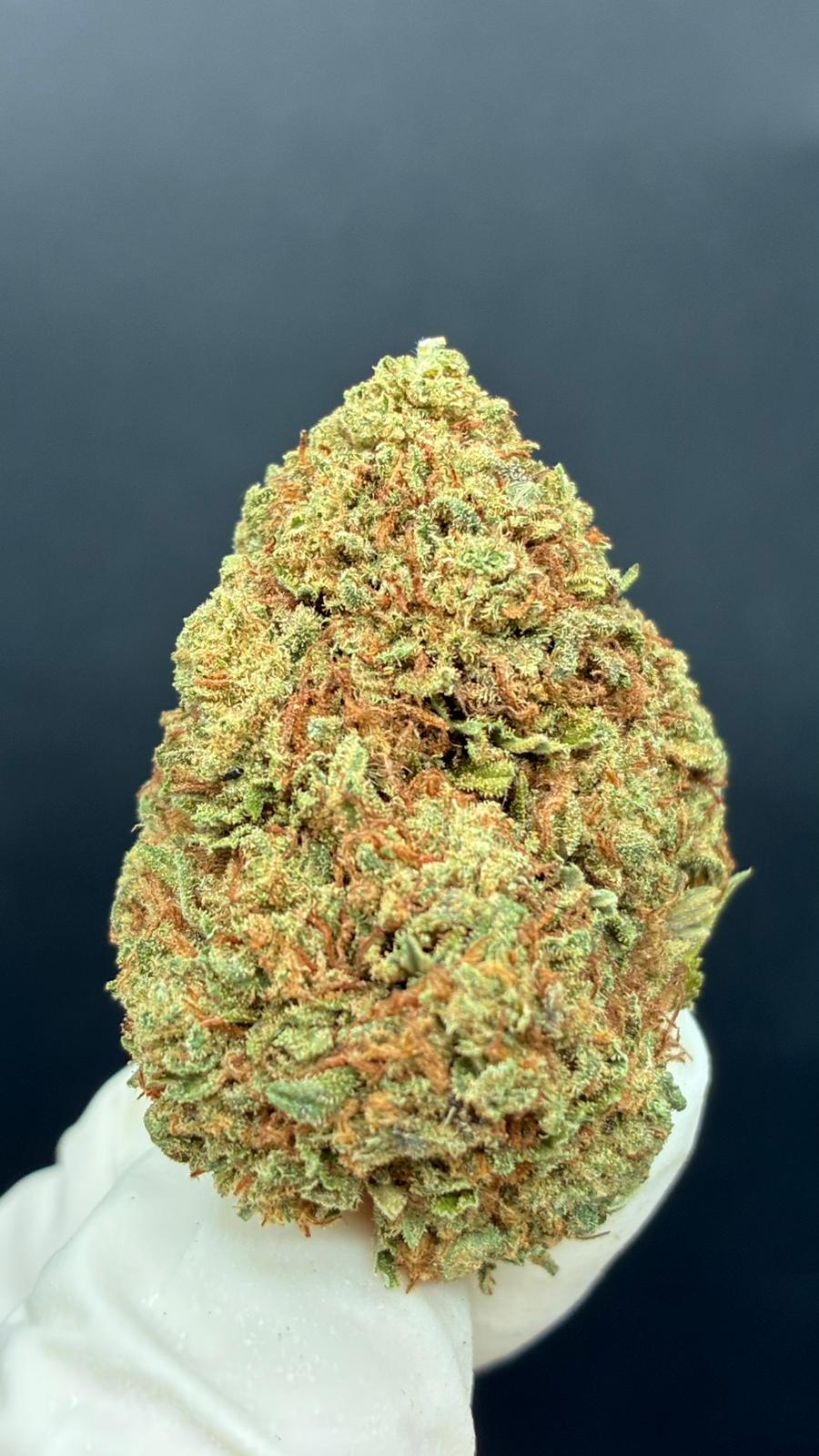 BUDDHA CARAMEL Susz konopny CBD PREMIUM