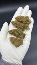 DOSIDOS Susz konopny CBD PREMIUM