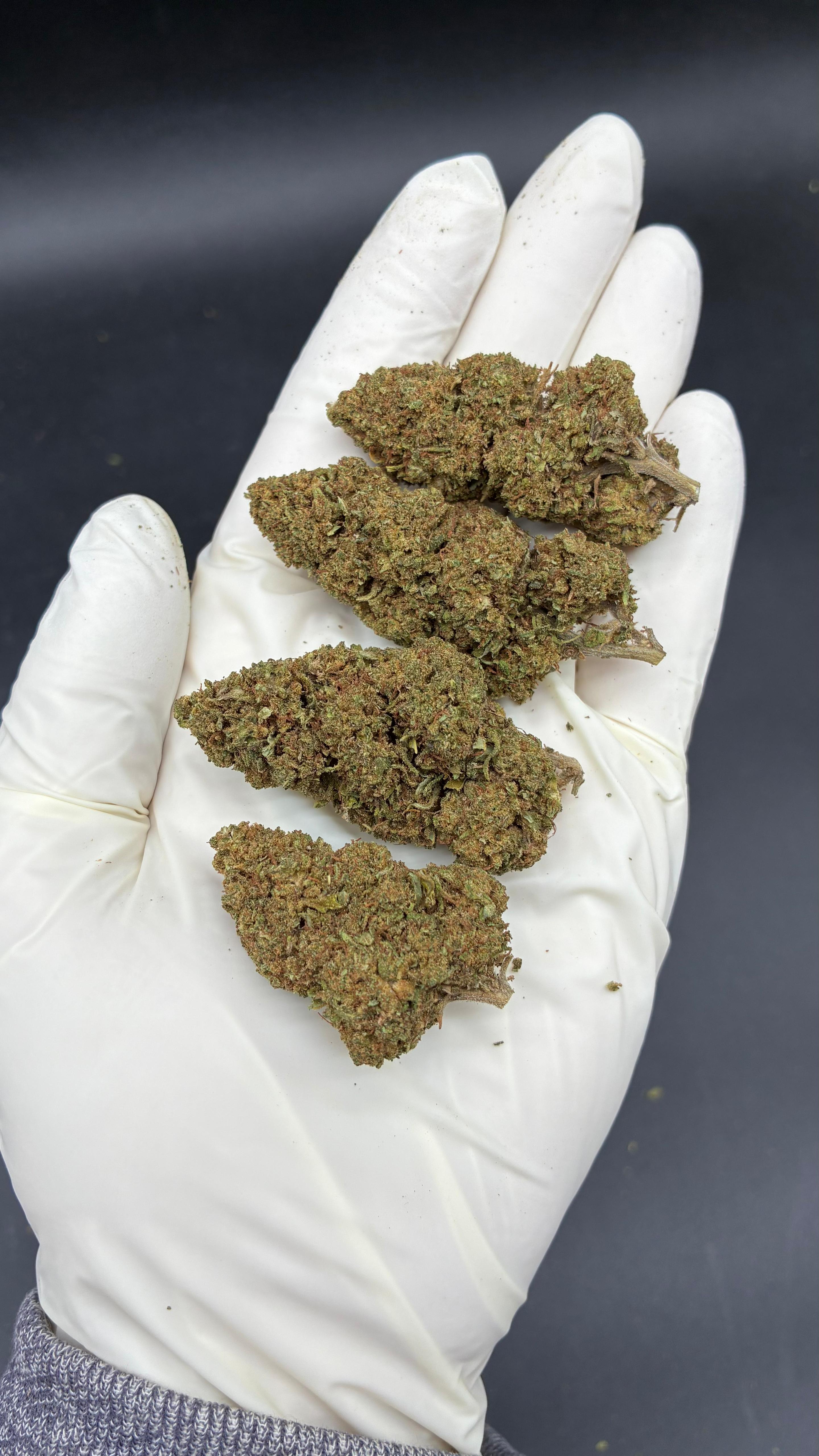 DOSIDOS Susz konopny CBD PREMIUM