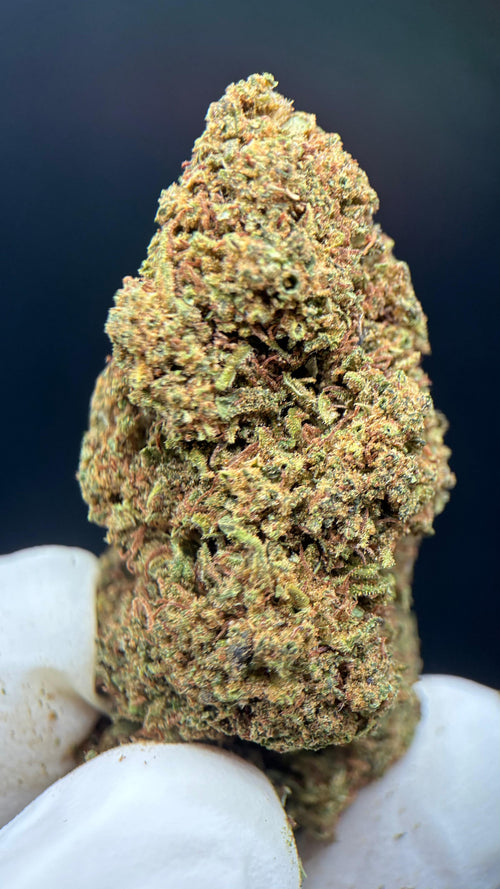 DOSIDOS Susz konopny CBD PREMIUM