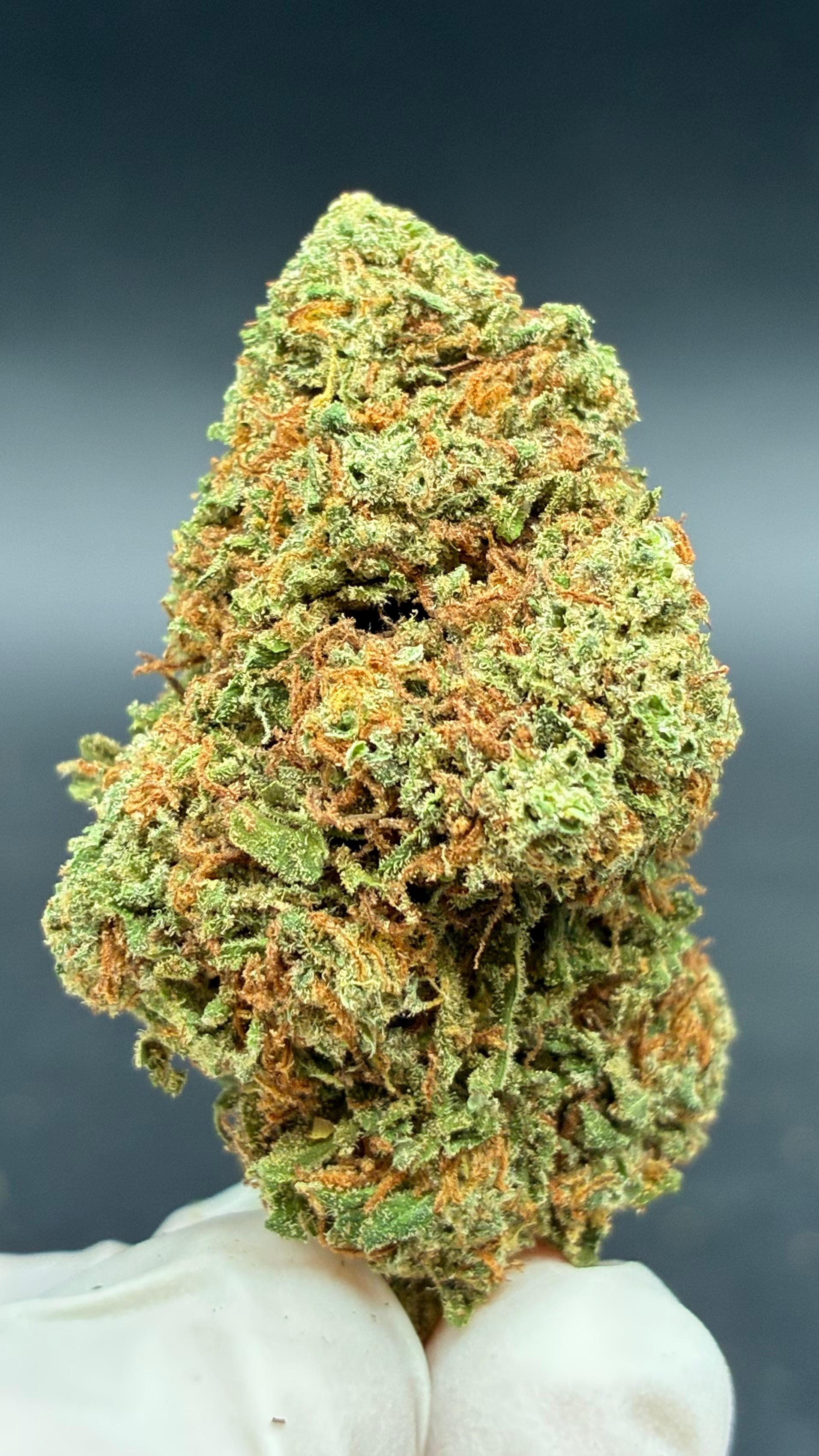FRUIT CAKE Susz konopny CBD PREMIUM