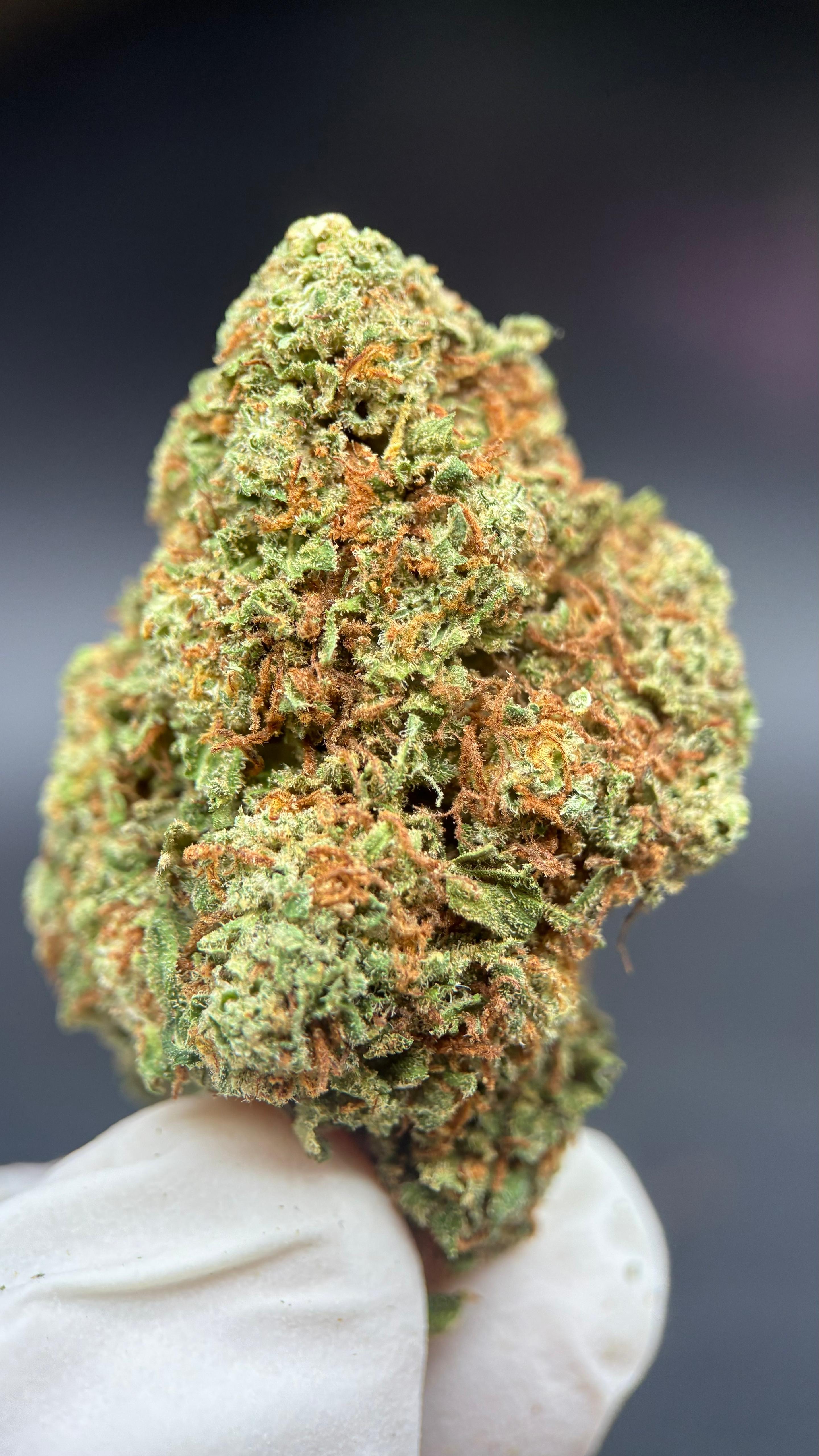 FRUIT CAKE Susz konopny CBD PREMIUM