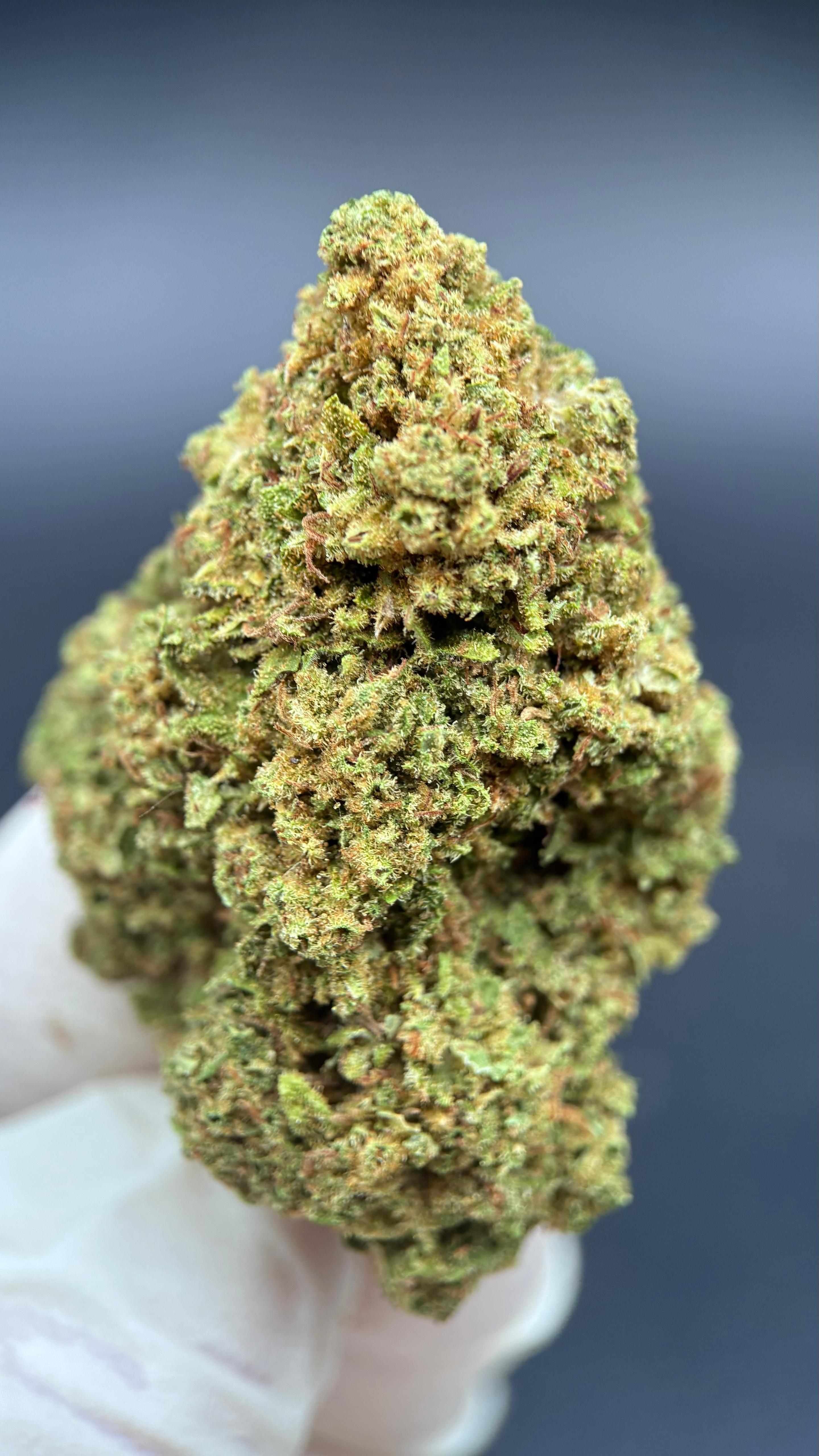FRUIT CANDY Susz konopny CBD PREMIUM