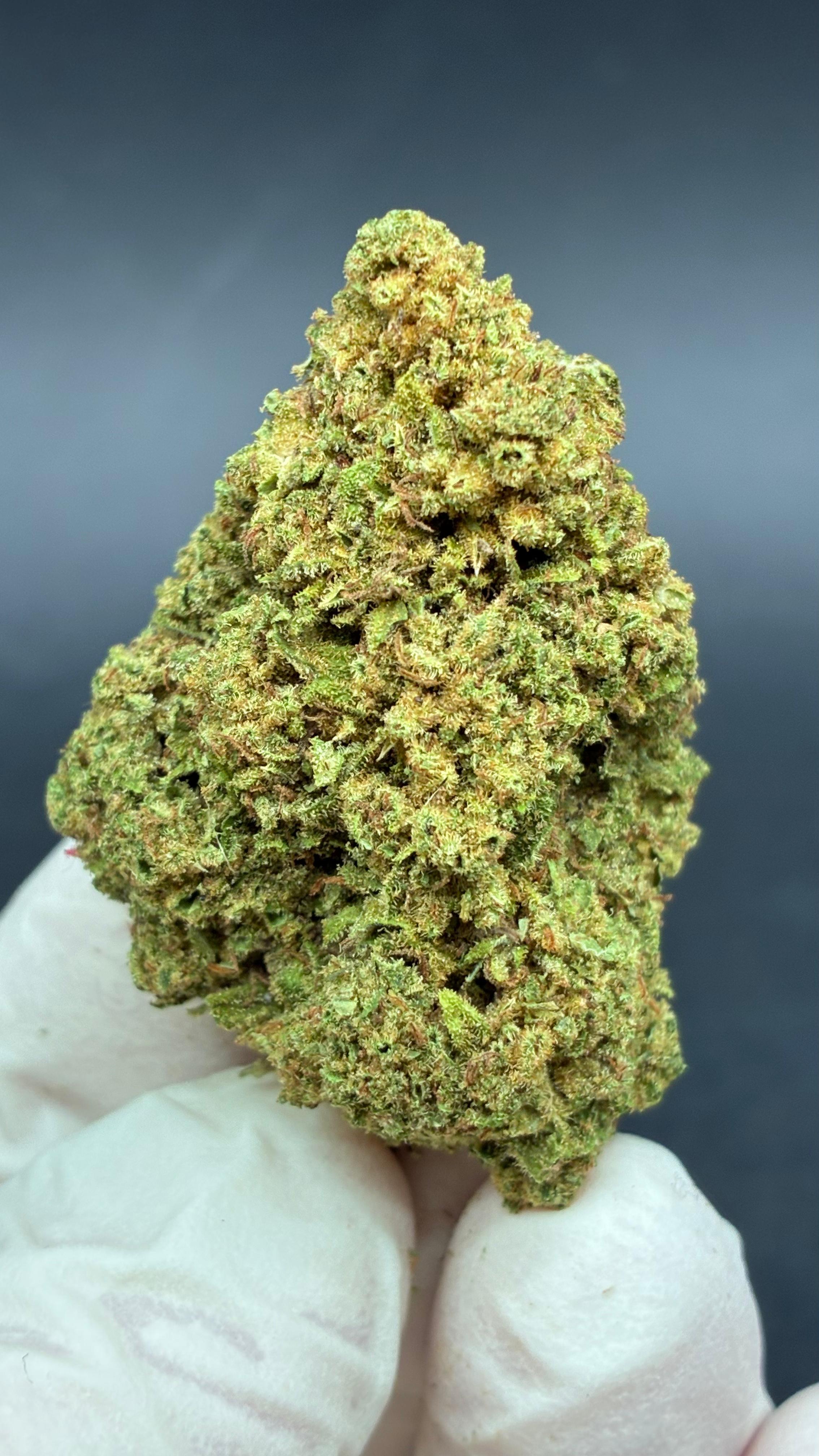 FRUIT CANDY Susz konopny CBD PREMIUM