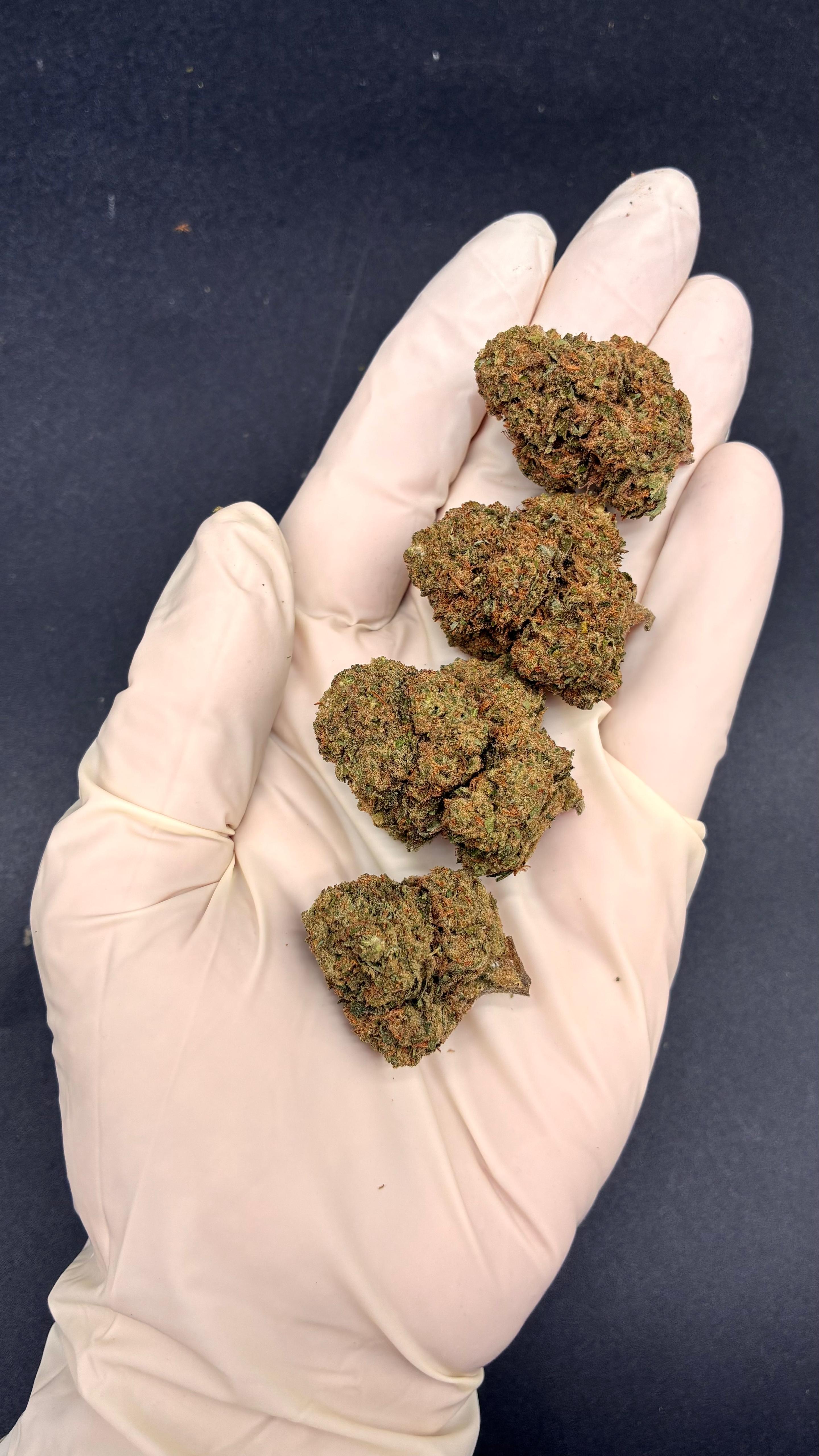 GORILLA GLUE Susz konopny CBD PREMIUM