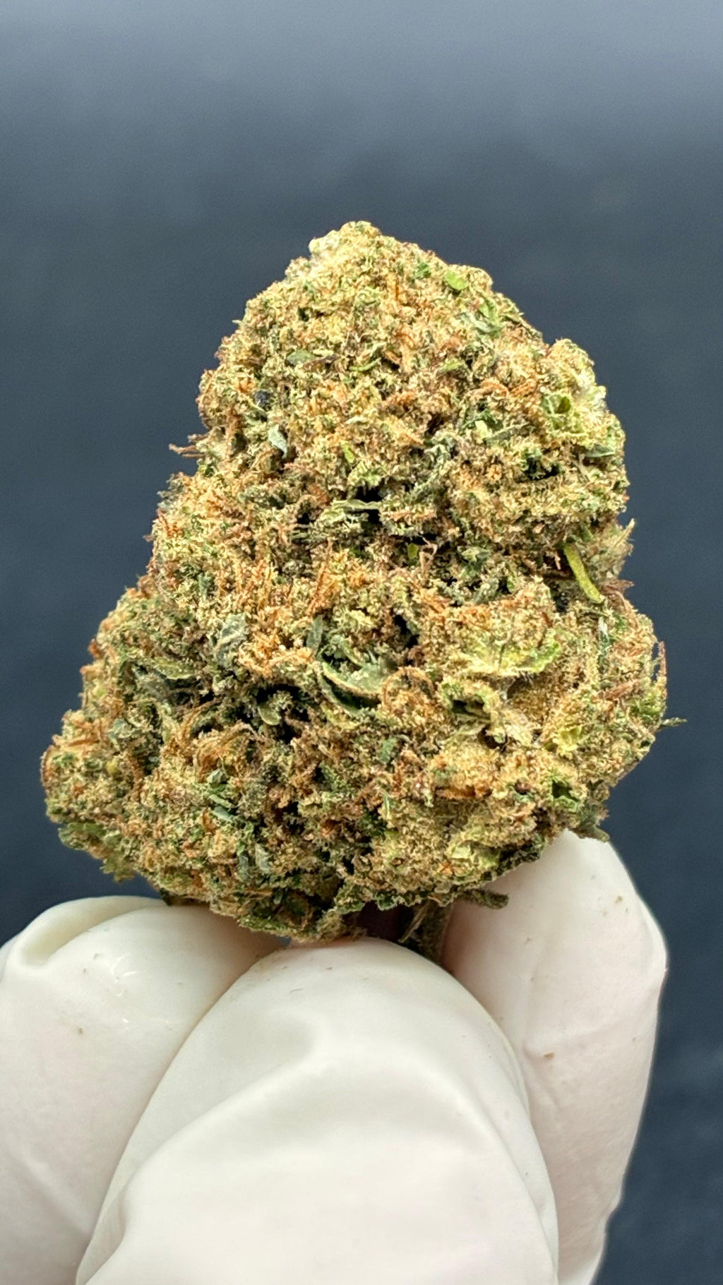 GORILLA GLUE Susz konopny CBD PREMIUM