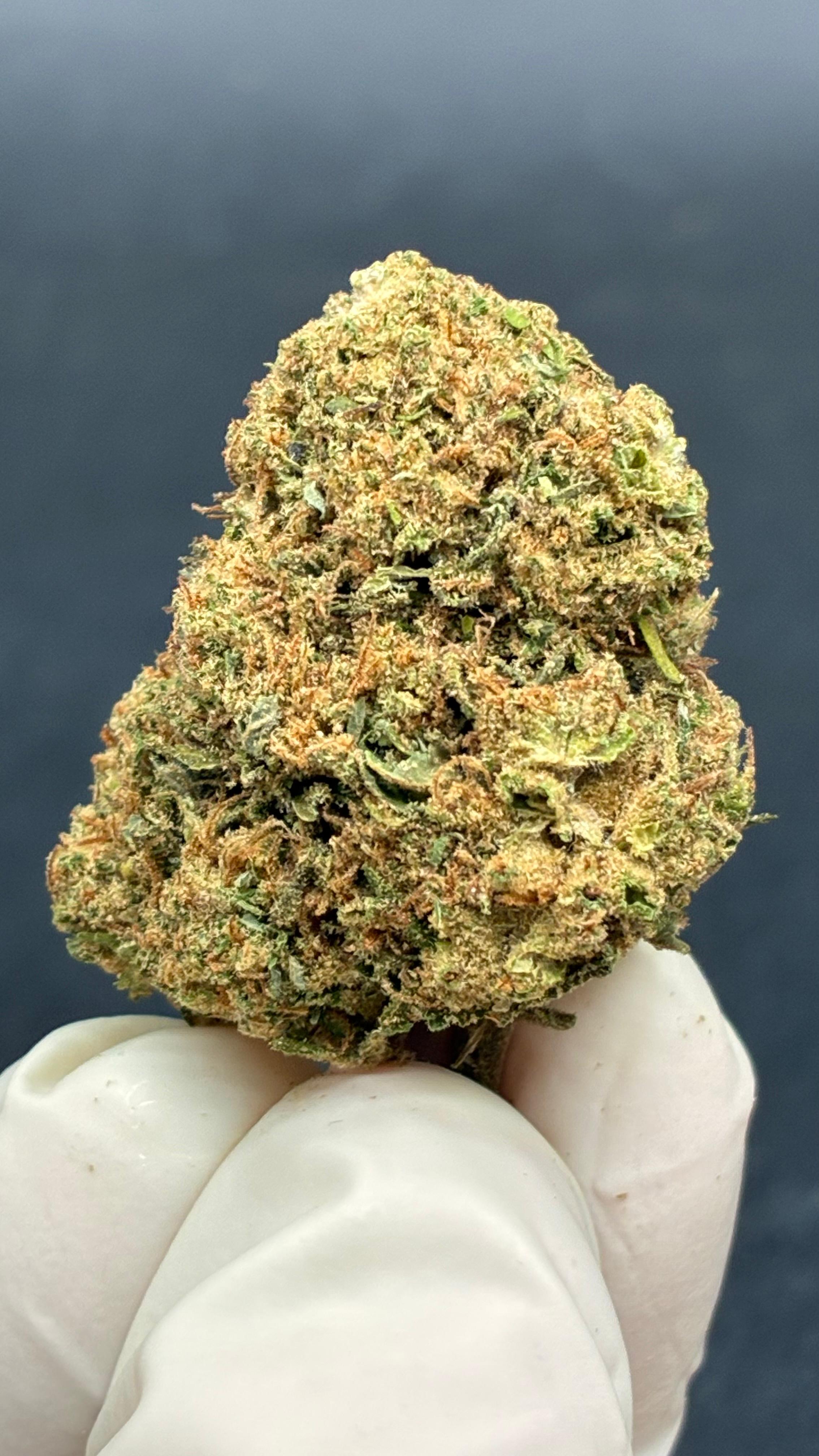 GORILLA GLUE Susz konopny CBD PREMIUM