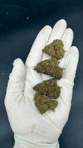 GRAPE MADNESS Susz konopny CBD PREMIUM