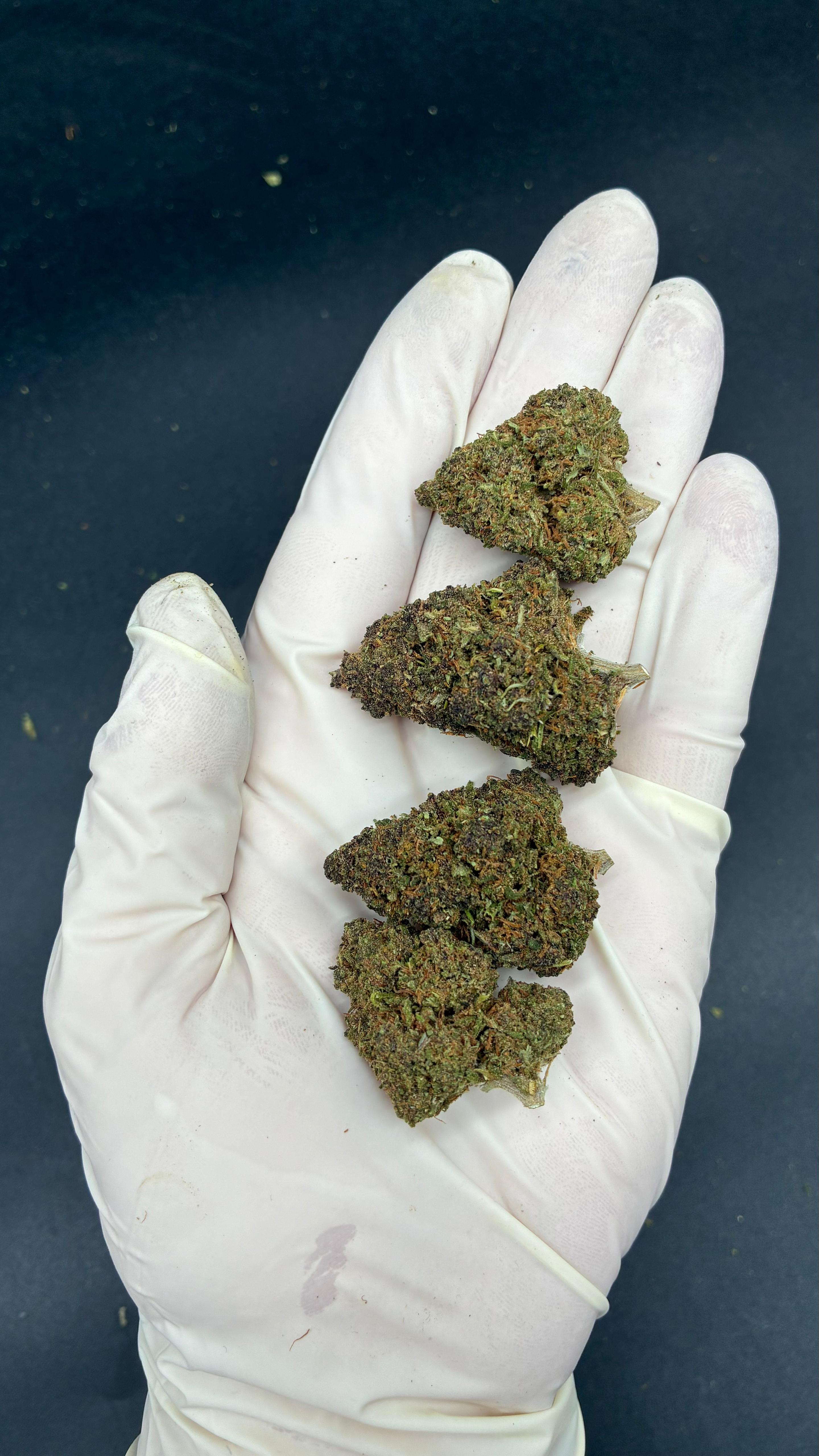 GRAPE MADNESS Susz konopny CBD PREMIUM