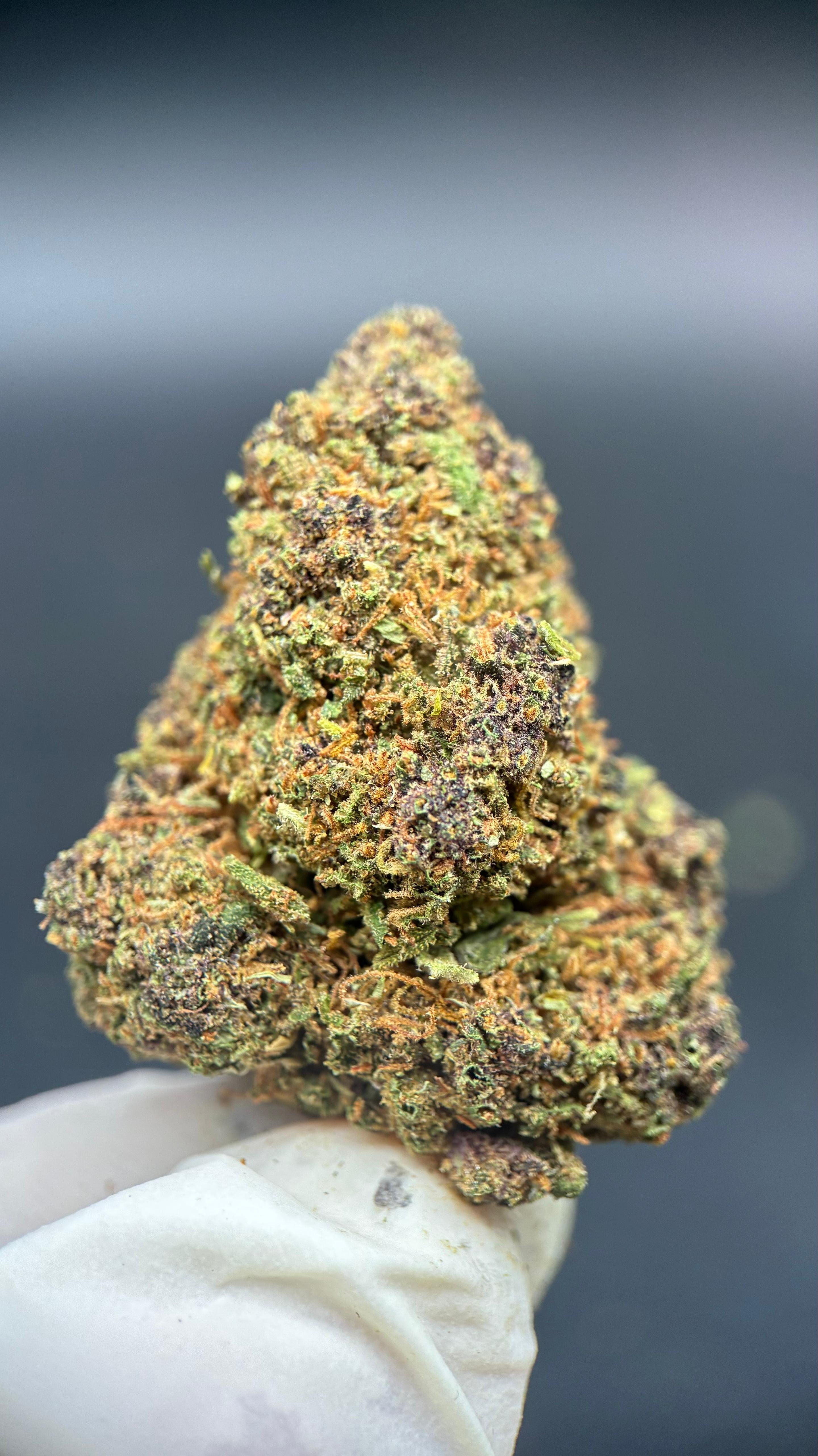 GRAPE MADNESS Susz konopny CBD PREMIUM