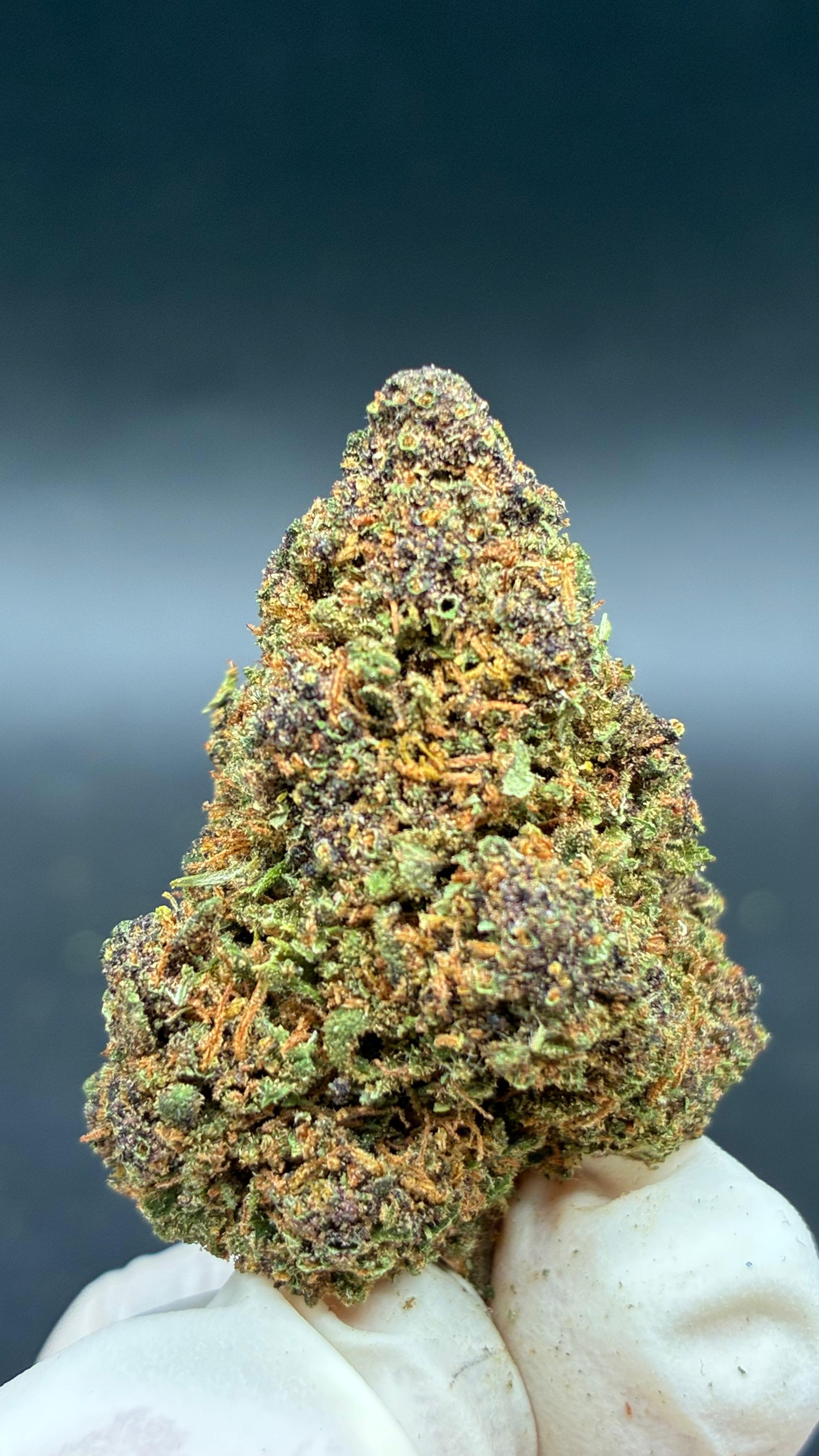 GRAPE MADNESS Susz konopny CBD PREMIUM