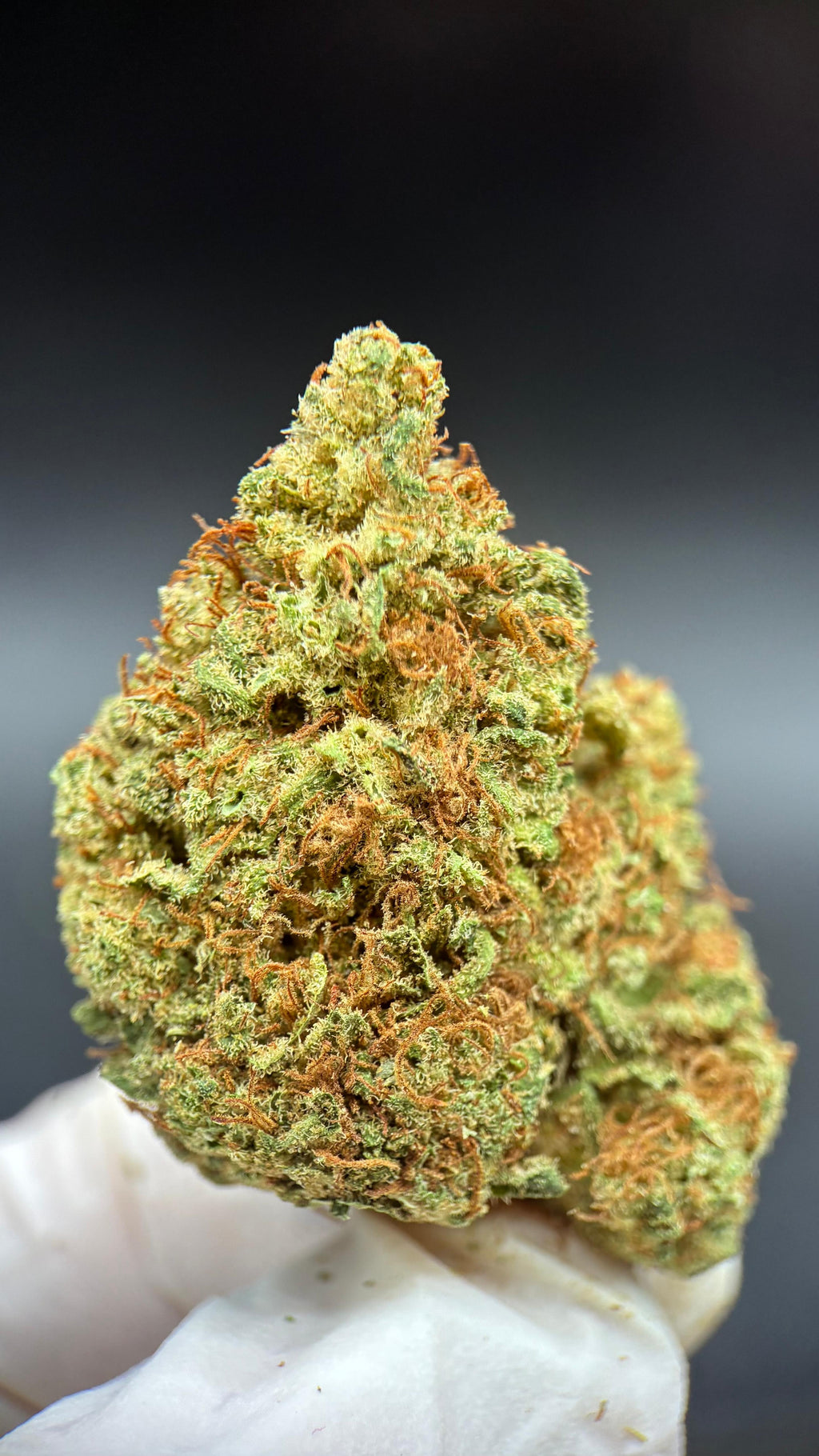 LIMONCELLO Susz konopny CBD PREMIUM
