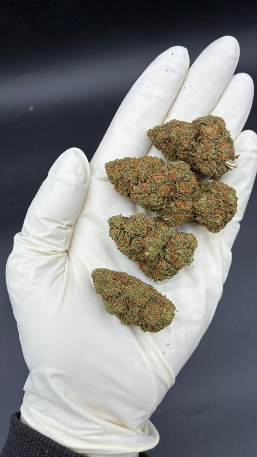 ORANGE BUD Susz konopny CBD PREMIUM