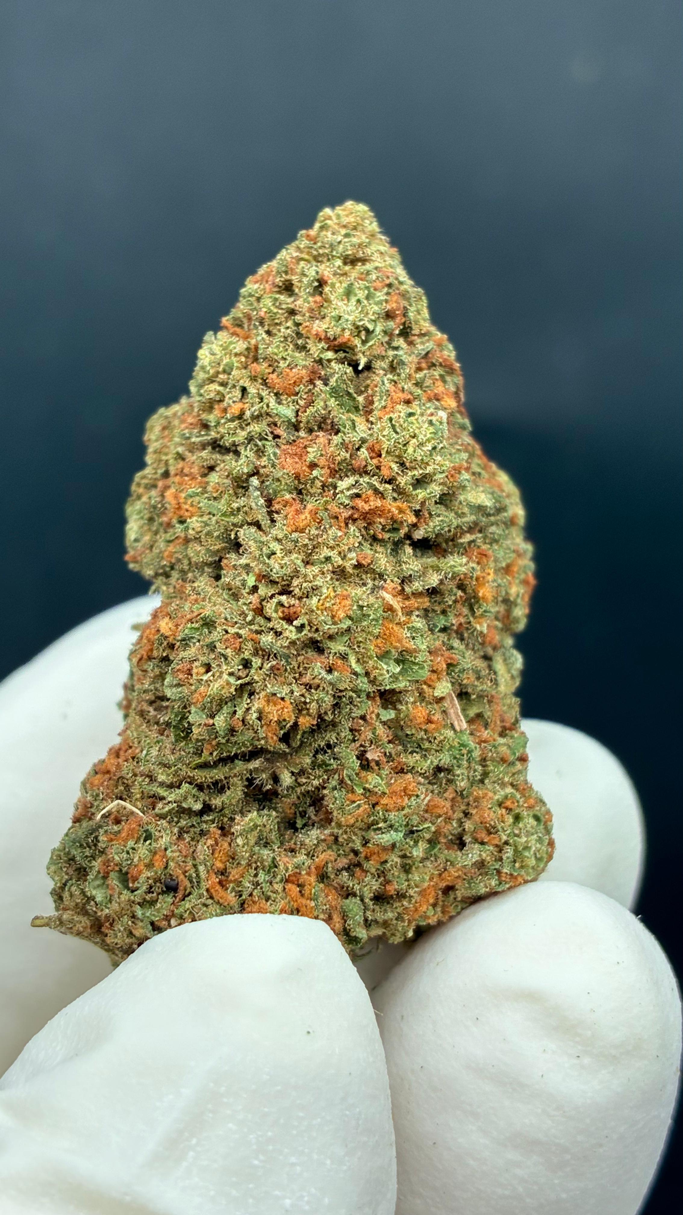 ORANGE BUD Susz konopny CBD PREMIUM