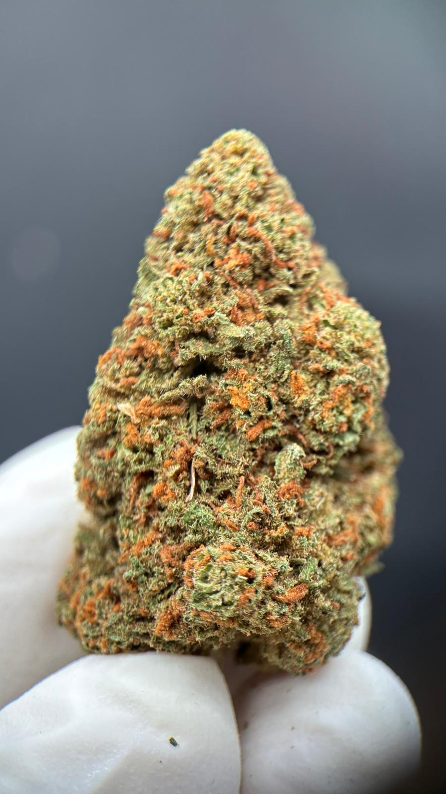 ORANGE BUD Susz konopny CBD PREMIUM