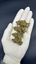PINEAPPLE EXPRESS Susz konopny CBD PREMIUM