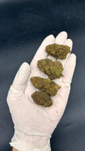 RAINBOW CHIP Susz konopny CBD PREMIUM
