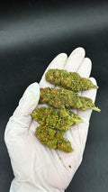 ROYAL CHEESE Susz konopny CBD PREMIUM