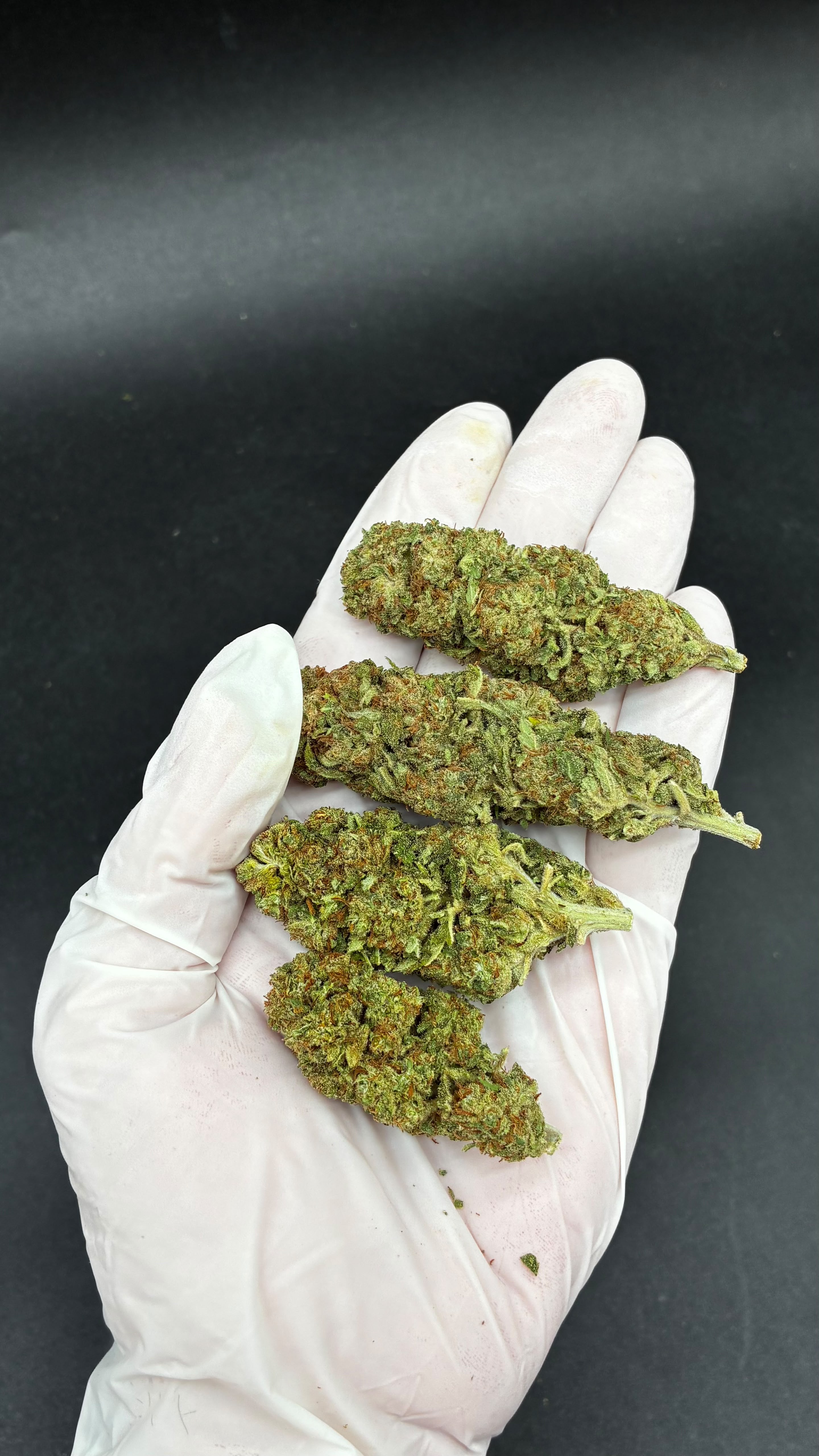ROYAL CHEESE Susz konopny CBD PREMIUM