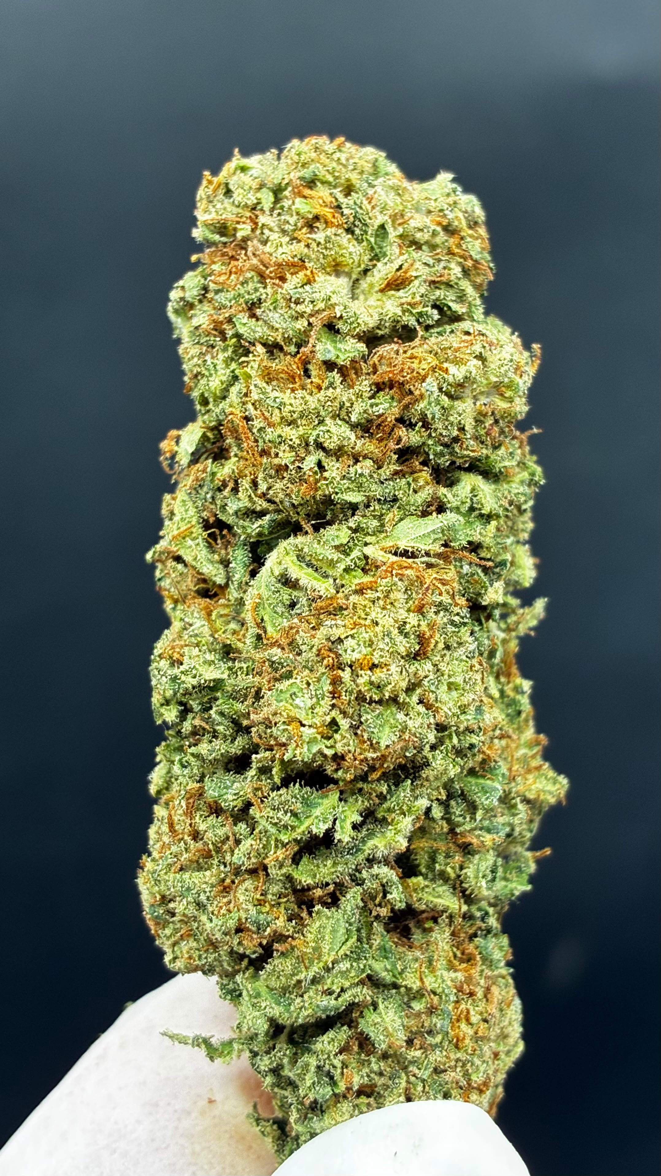 ROYAL CHEESE Susz konopny CBD PREMIUM