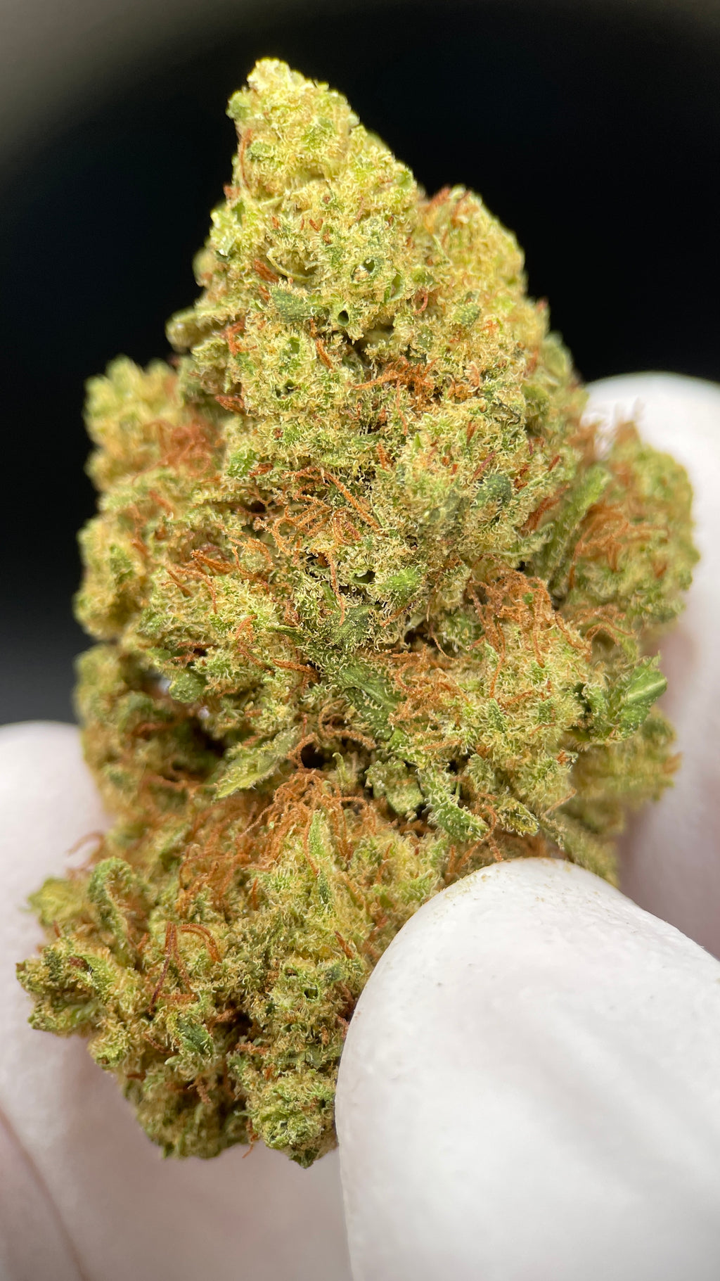 SUPER LEMON HAZE Susz konopny CBD PREMIUM