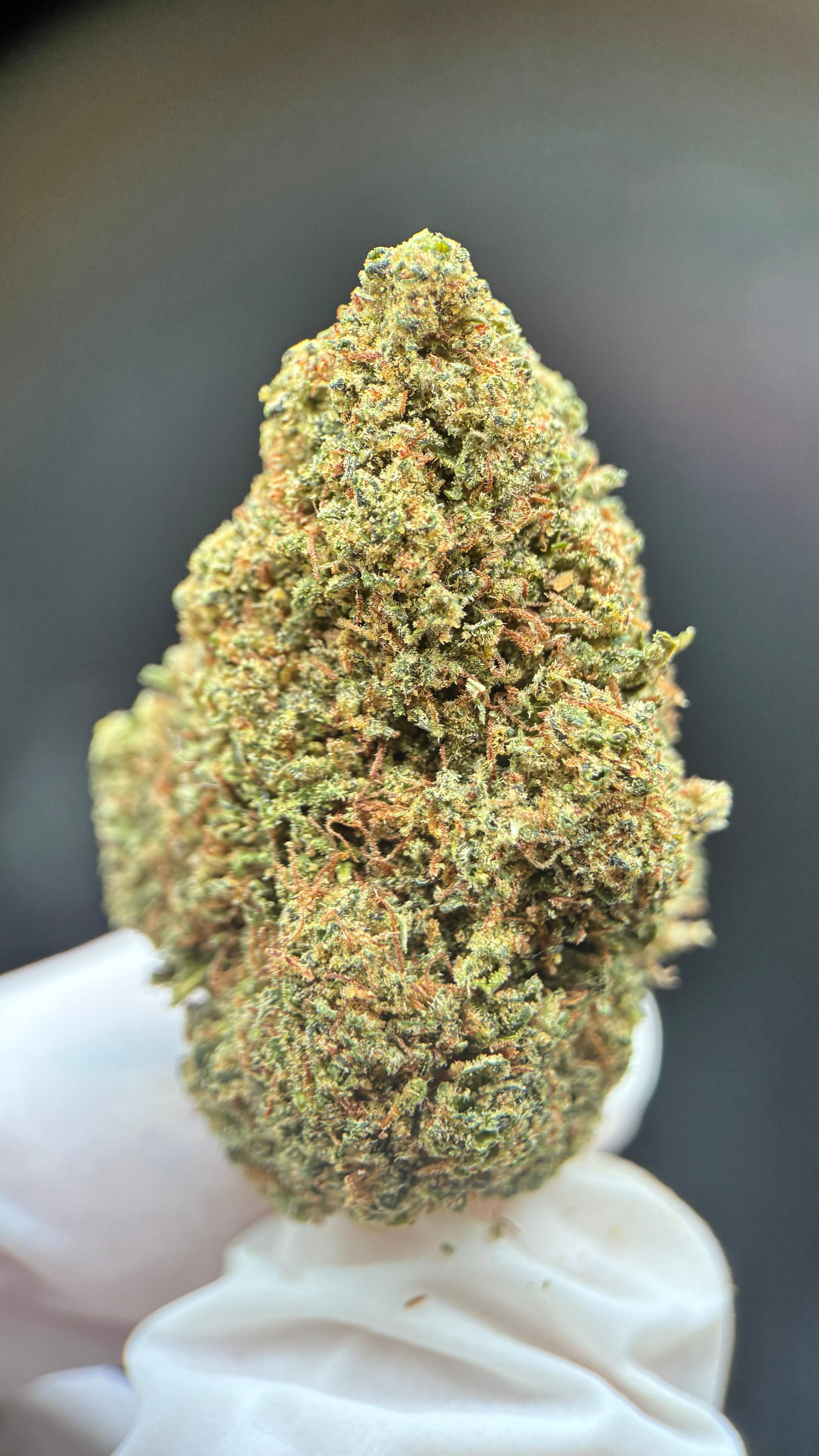SUPER SKUNK Susz konopny CBD PREMIUM