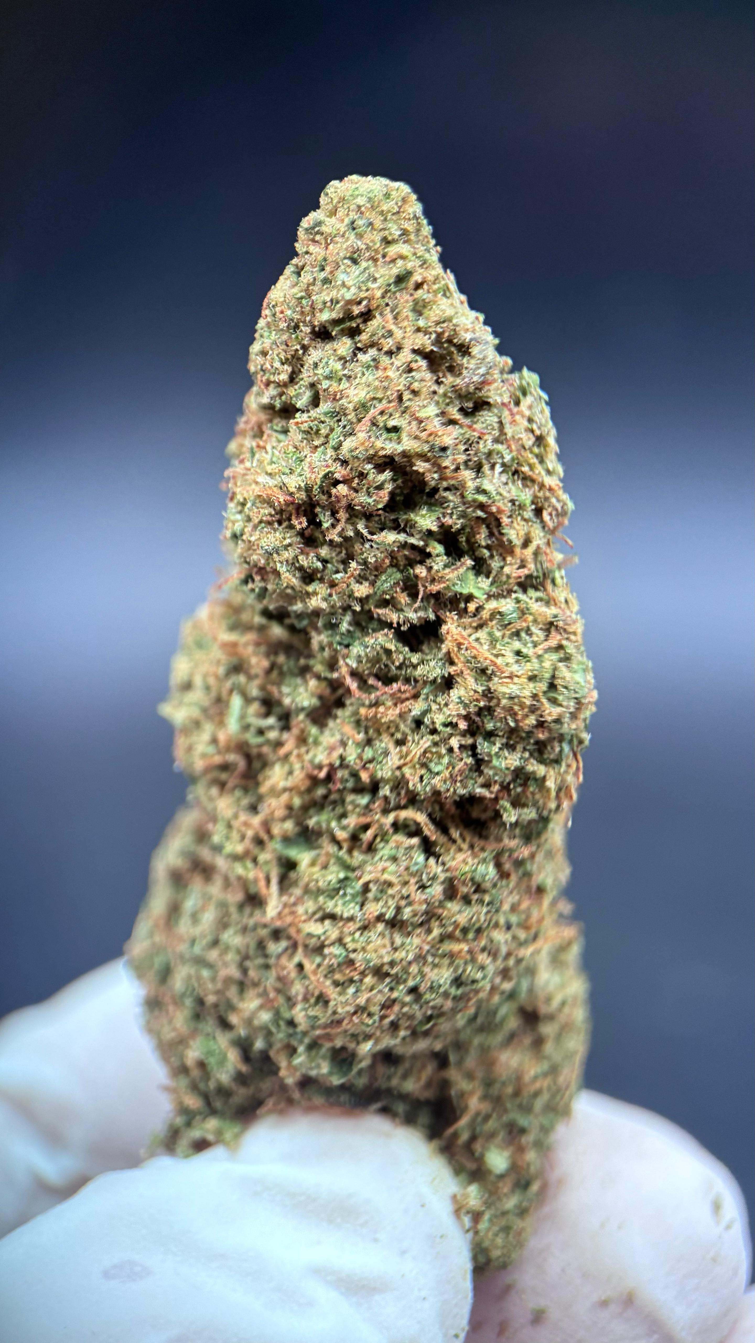 TROP CHERRY Susz konopny CBD PREMIUM