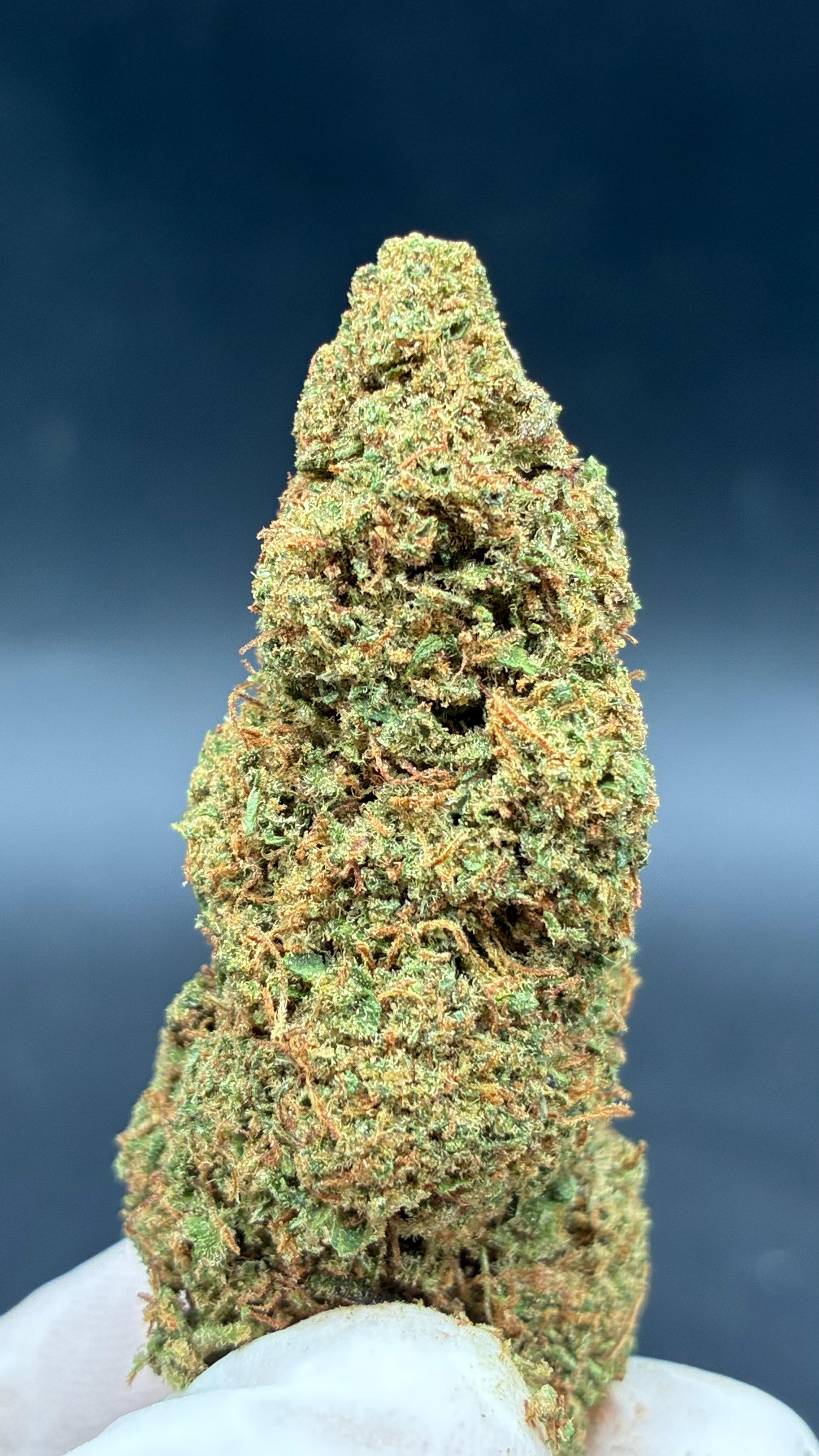 TROP CHERRY Susz konopny CBD PREMIUM