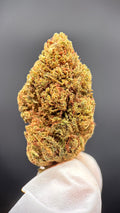 WHITE WIDOW Susz konopny CBD PREMIUM
