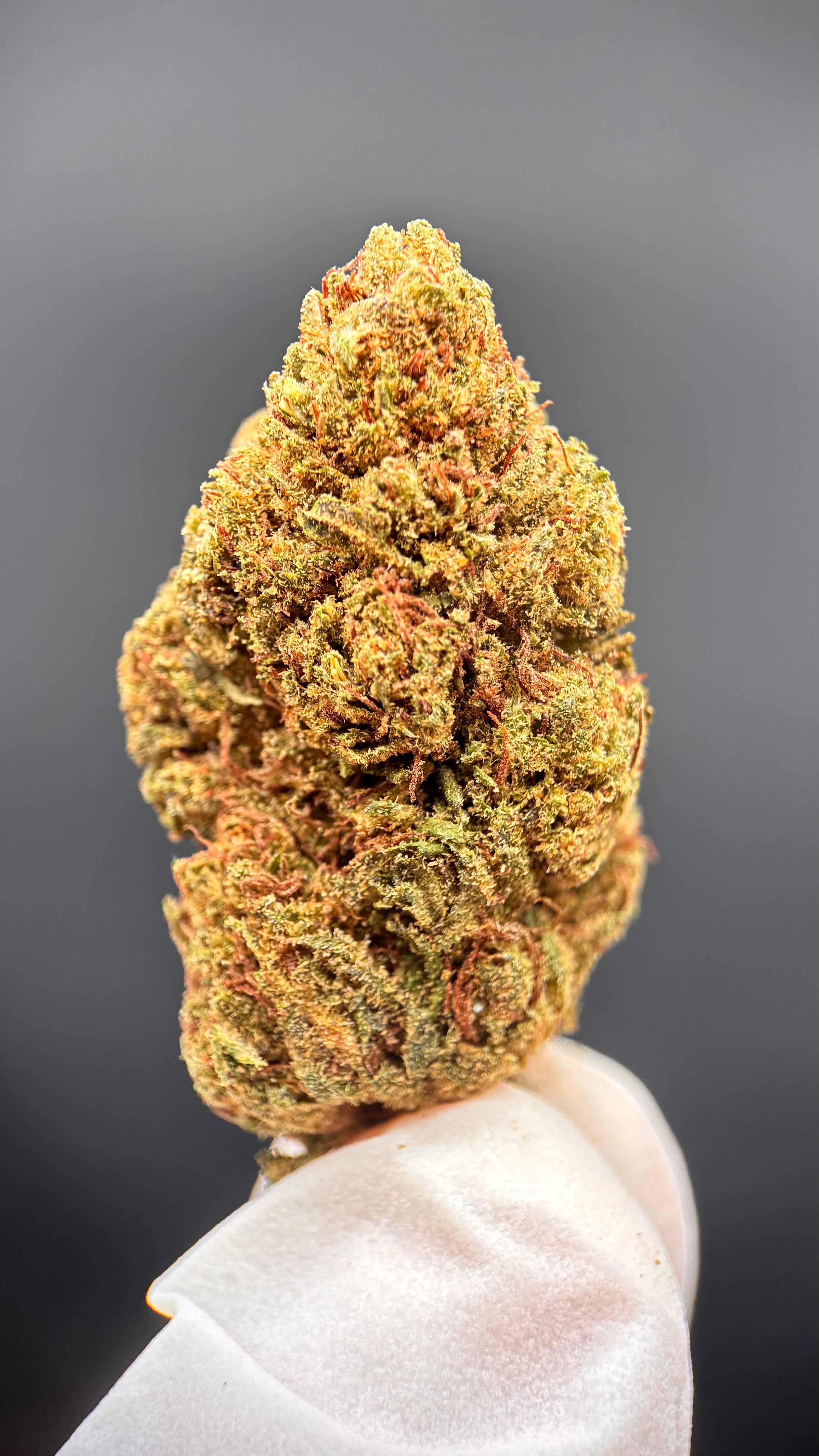 WHITE WIDOW Susz konopny CBD PREMIUM