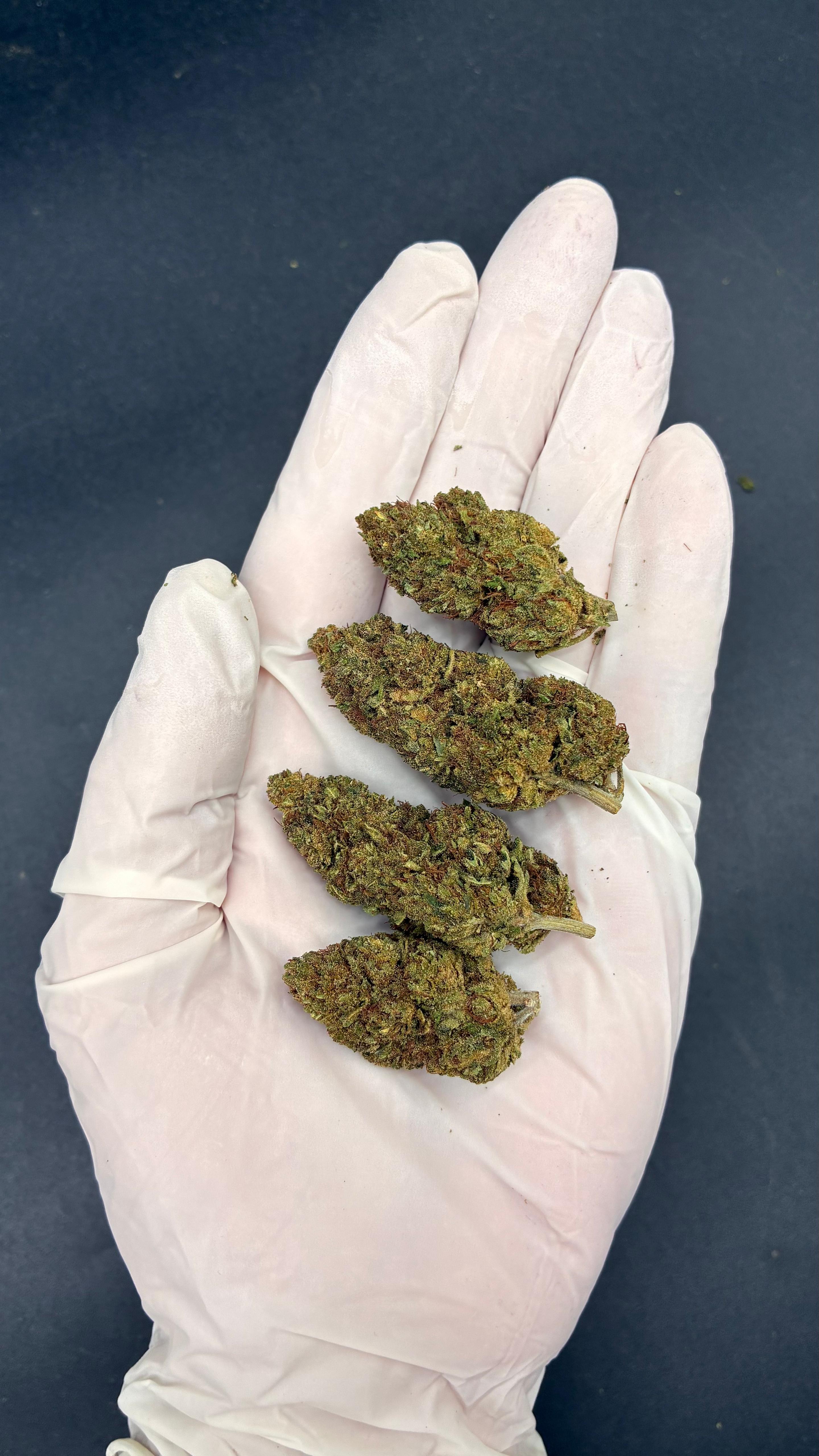 WHITE WIDOW Susz konopny CBD PREMIUM