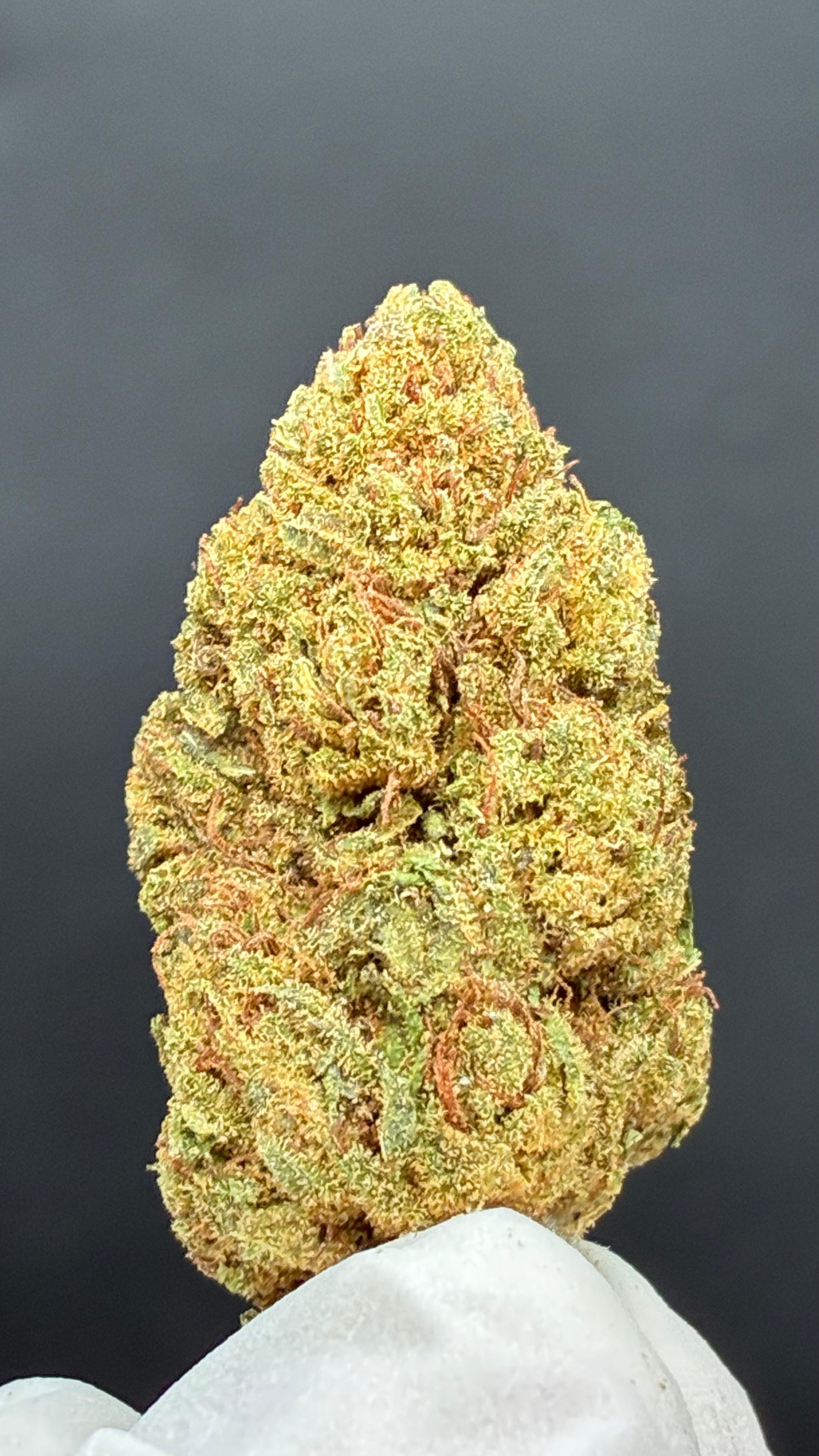 WHITE WIDOW Susz konopny CBD PREMIUM